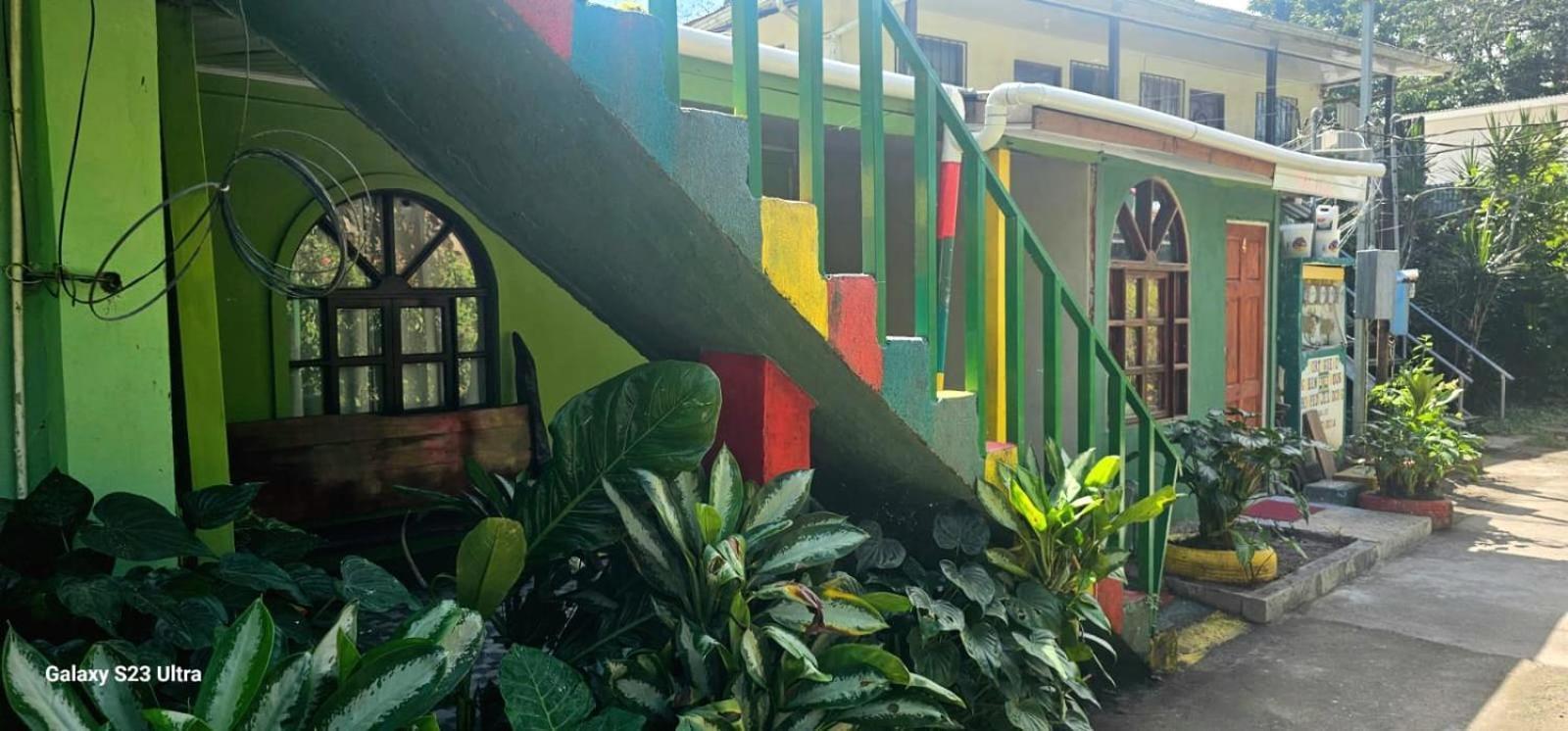 Tortuguero Casa De Playa Green House Apartment Exterior photo